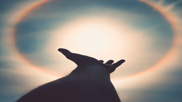 テクノロジーと共存する介護職の働き方。AIには真似できない価値を見つける